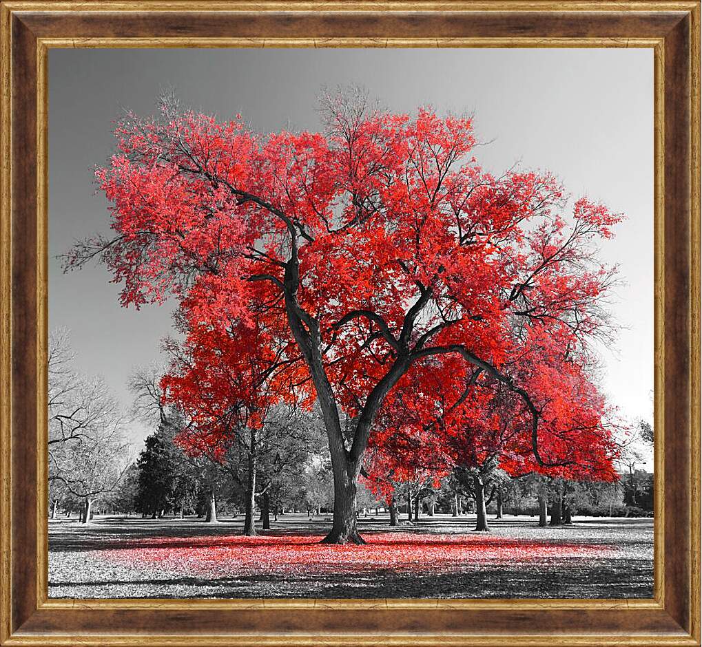 Картина в раме - Красная листва
