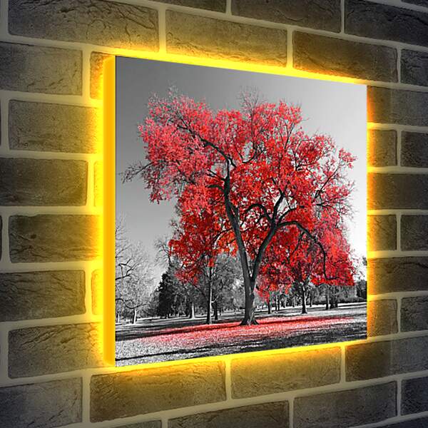 Лайтбокс световая панель - Красная листва