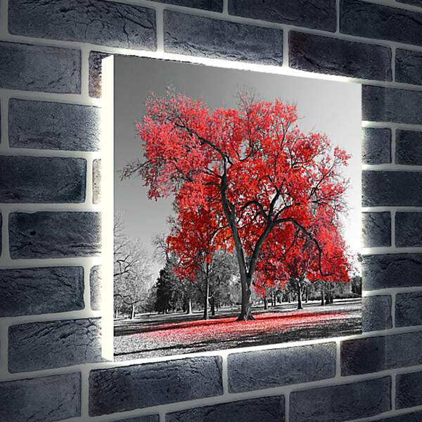 Лайтбокс световая панель - Красная листва