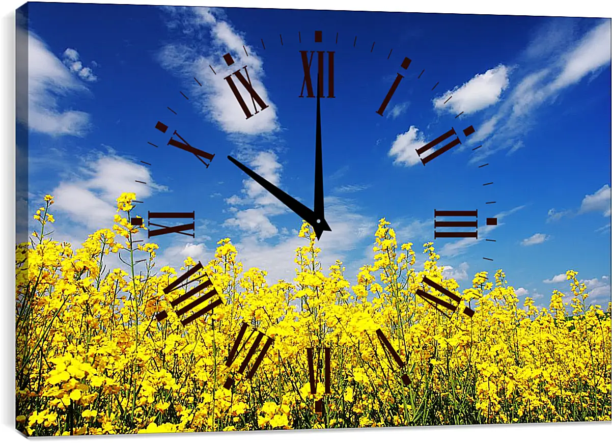 Часы картина - Рапс и небо