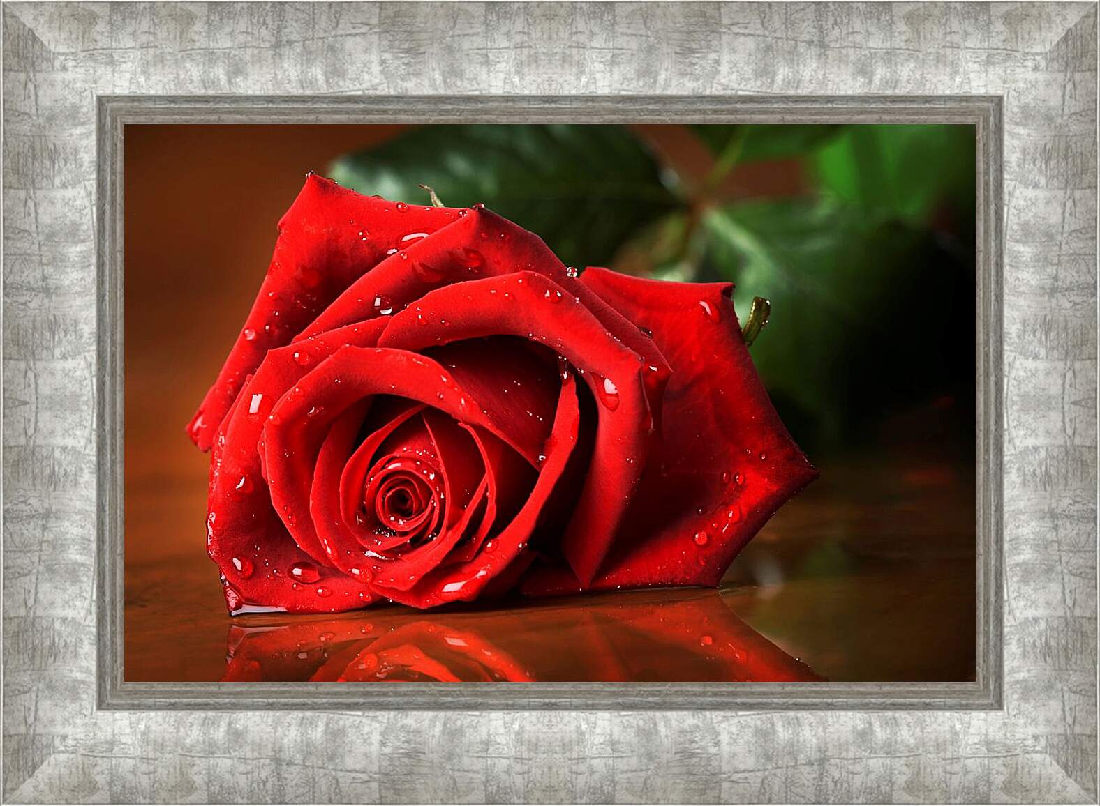 Картина в раме - Красная роза с каплями воды