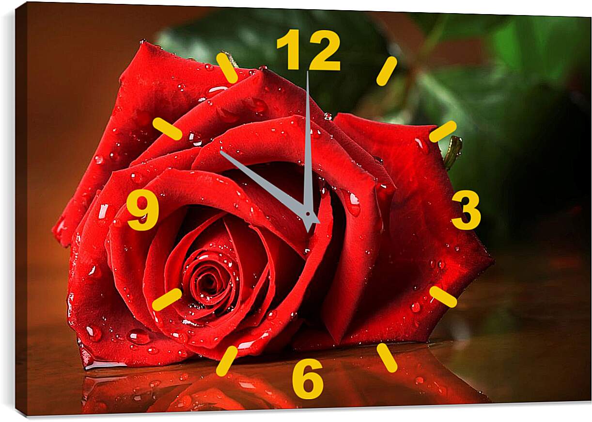 Часы картина - Красная роза с каплями воды