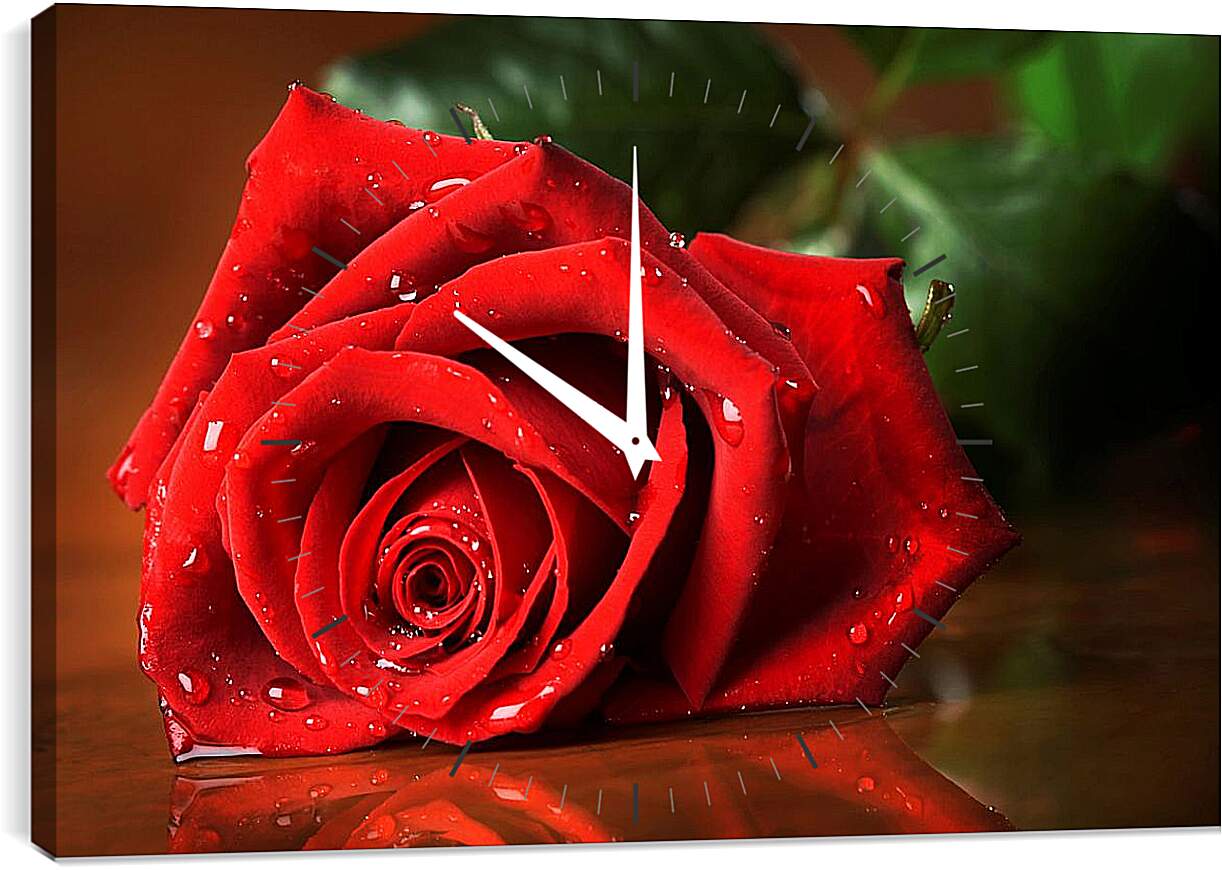 Часы картина - Красная роза с каплями воды