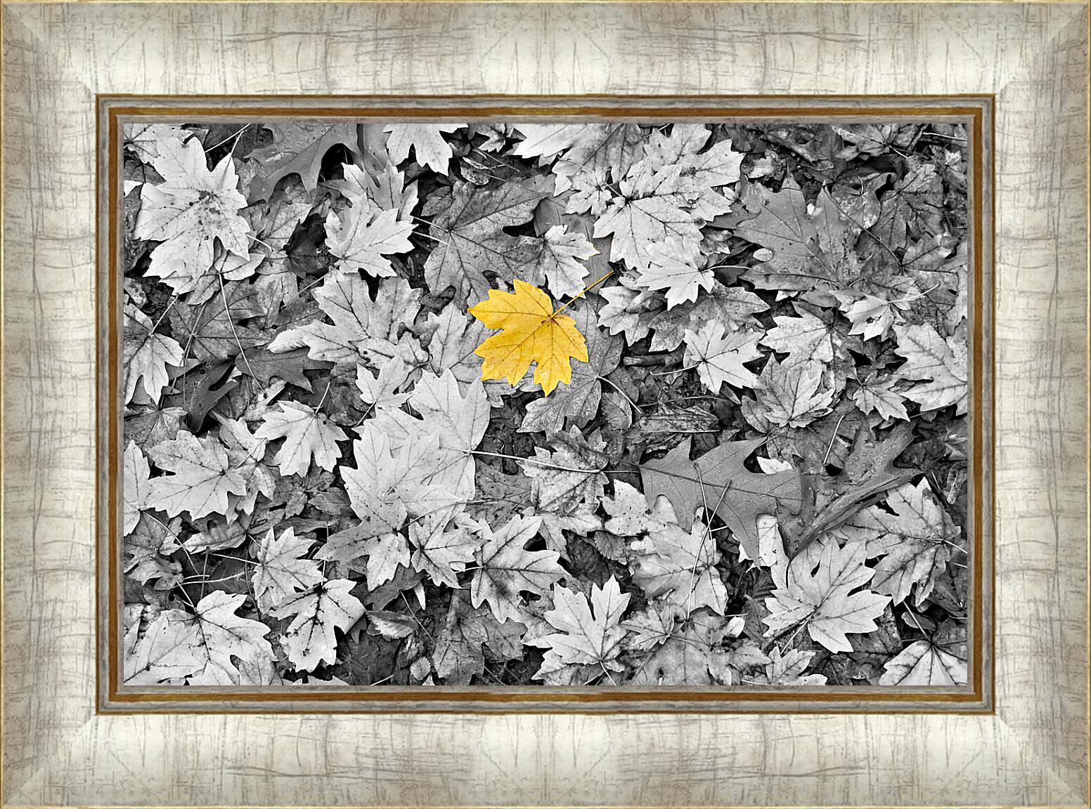 Картина в раме - Кленовые листья