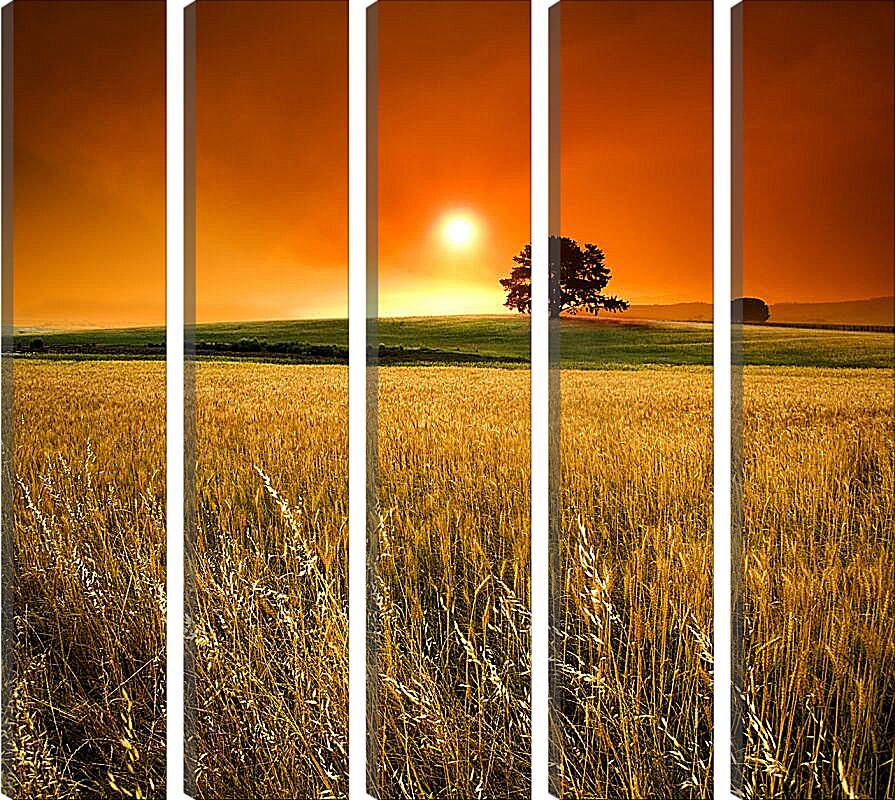 Модульная картина - Закат над полем