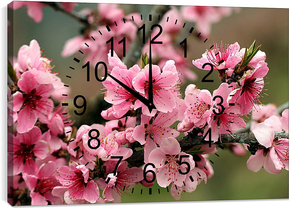 Часы картина - Розовые цветы яблони