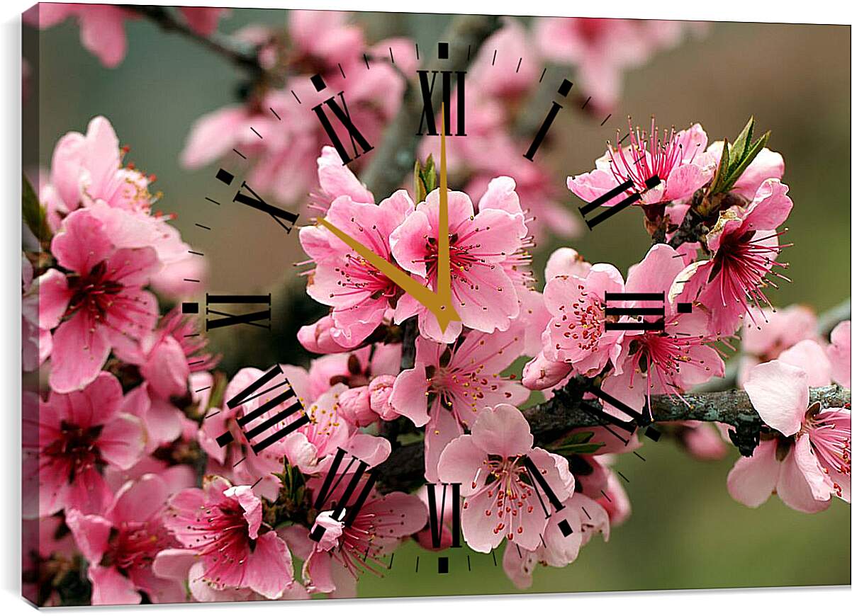 Часы картина - Розовые цветы яблони