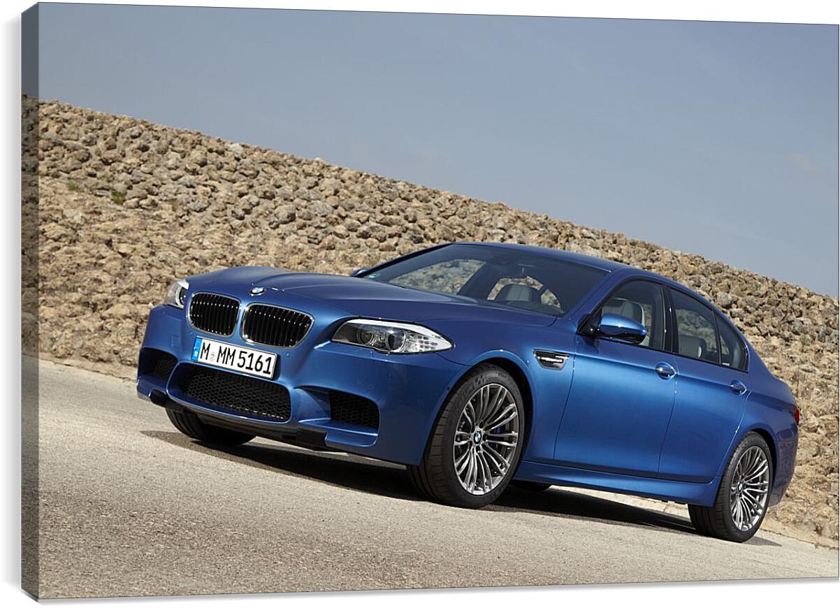 Постер и плакат - Синяя BMW M5