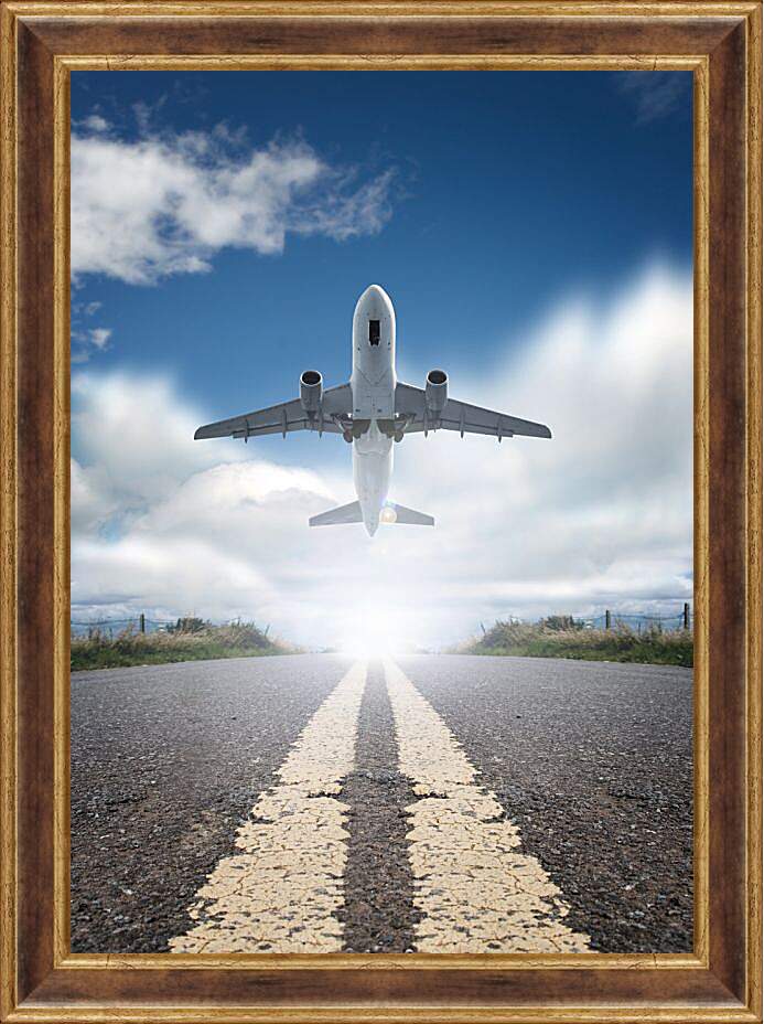Картина в раме - Взлет самолета