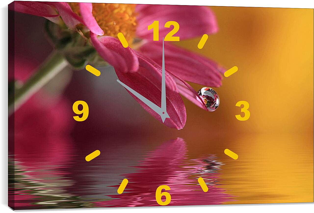 Часы картина - Капля воды на лепестке герберы