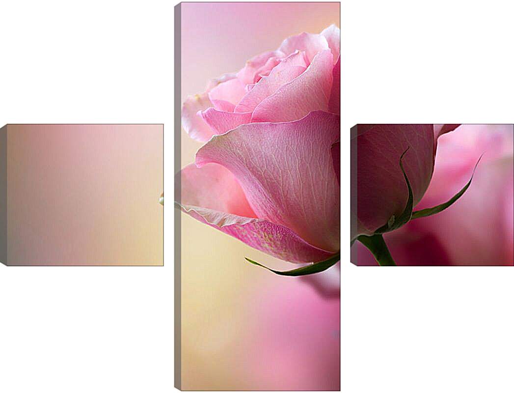 Модульная картина - Розовая роза