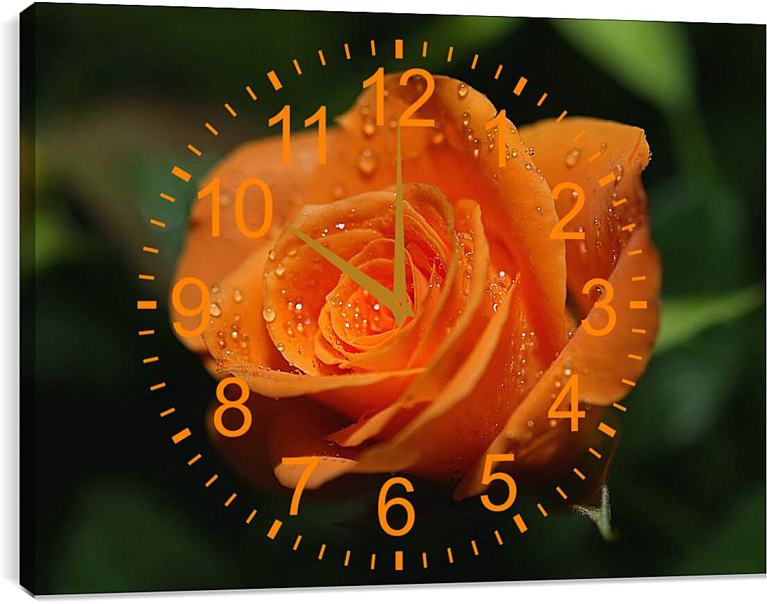 Часы картина - Оранжевая роза