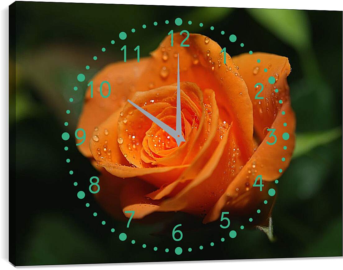 Часы картина - Оранжевая роза