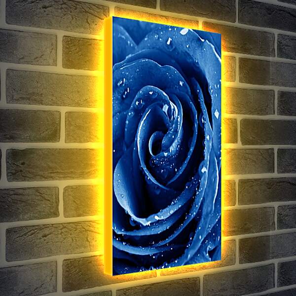 Лайтбокс световая панель - Синяя роза в каплях воды
