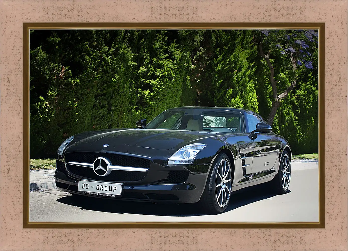 Картина в раме - Mercedes SLS AMG (Мерседес чайка)