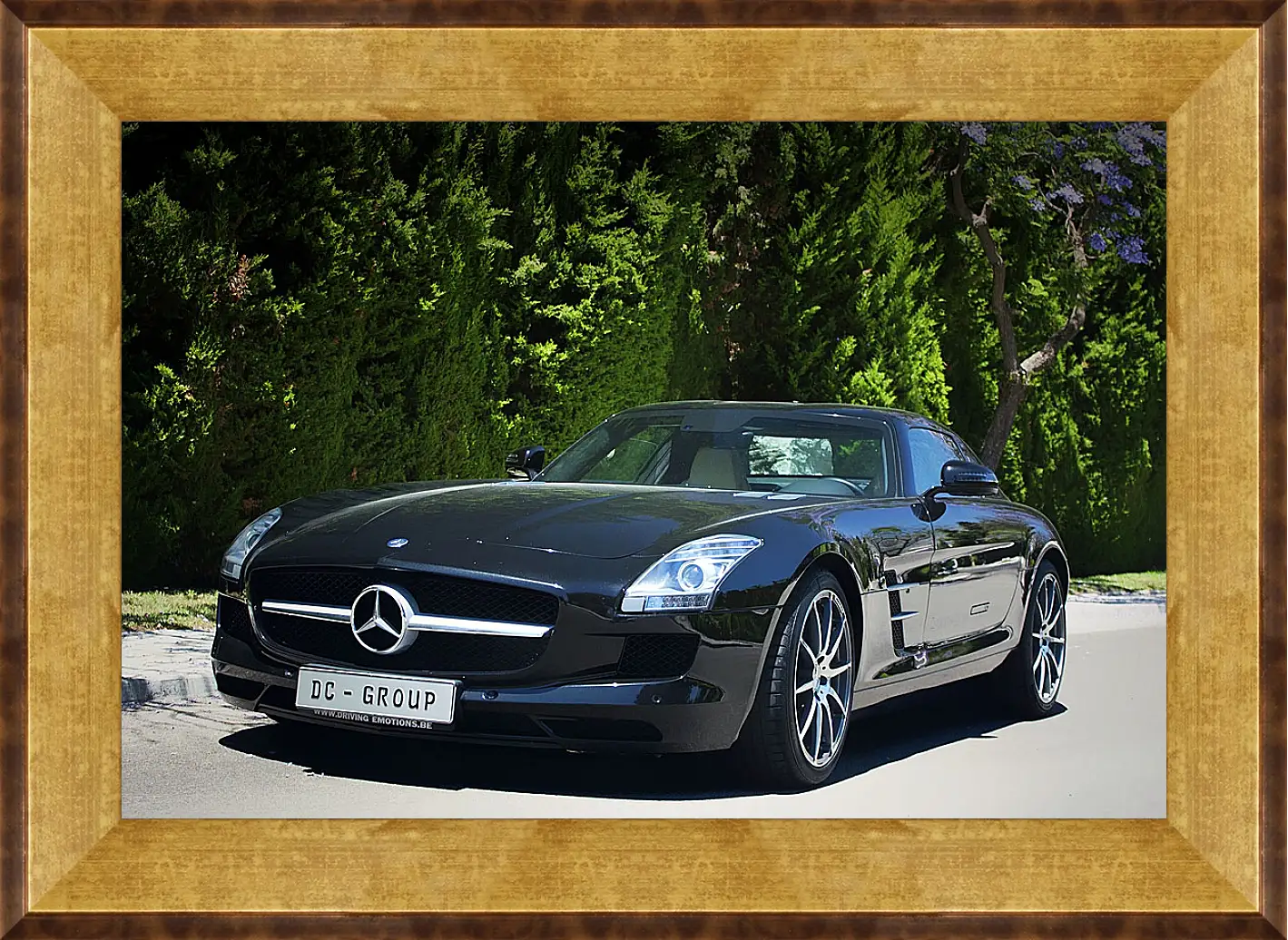 Картина в раме - Mercedes SLS AMG (Мерседес чайка)