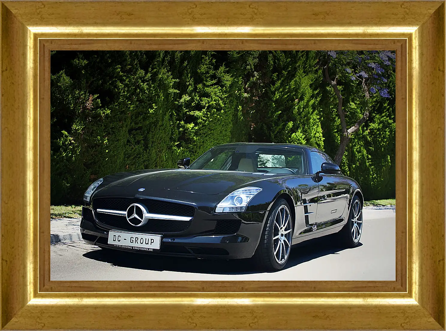 Картина в раме - Mercedes SLS AMG (Мерседес чайка)