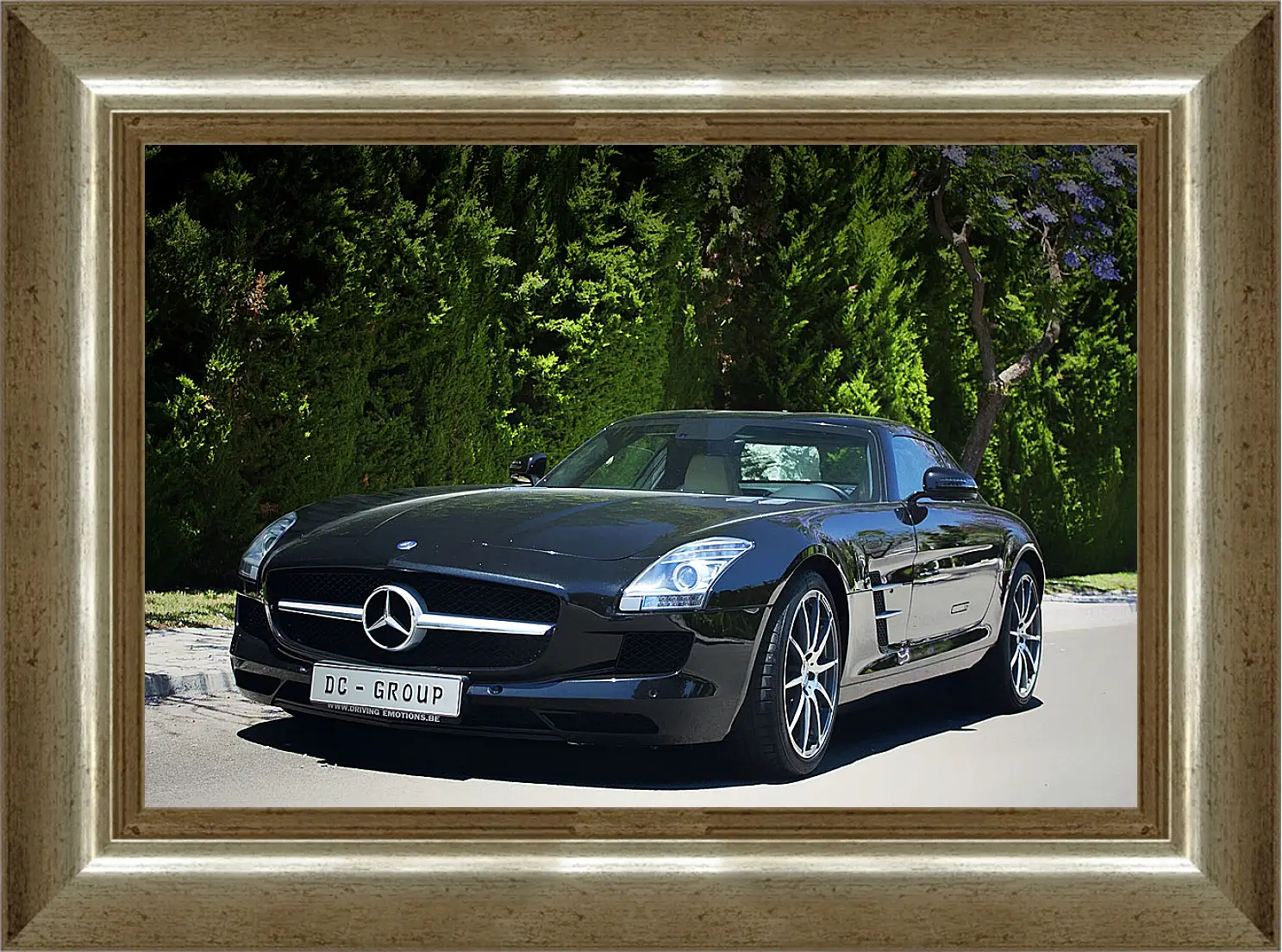 Картина в раме - Mercedes SLS AMG (Мерседес чайка)