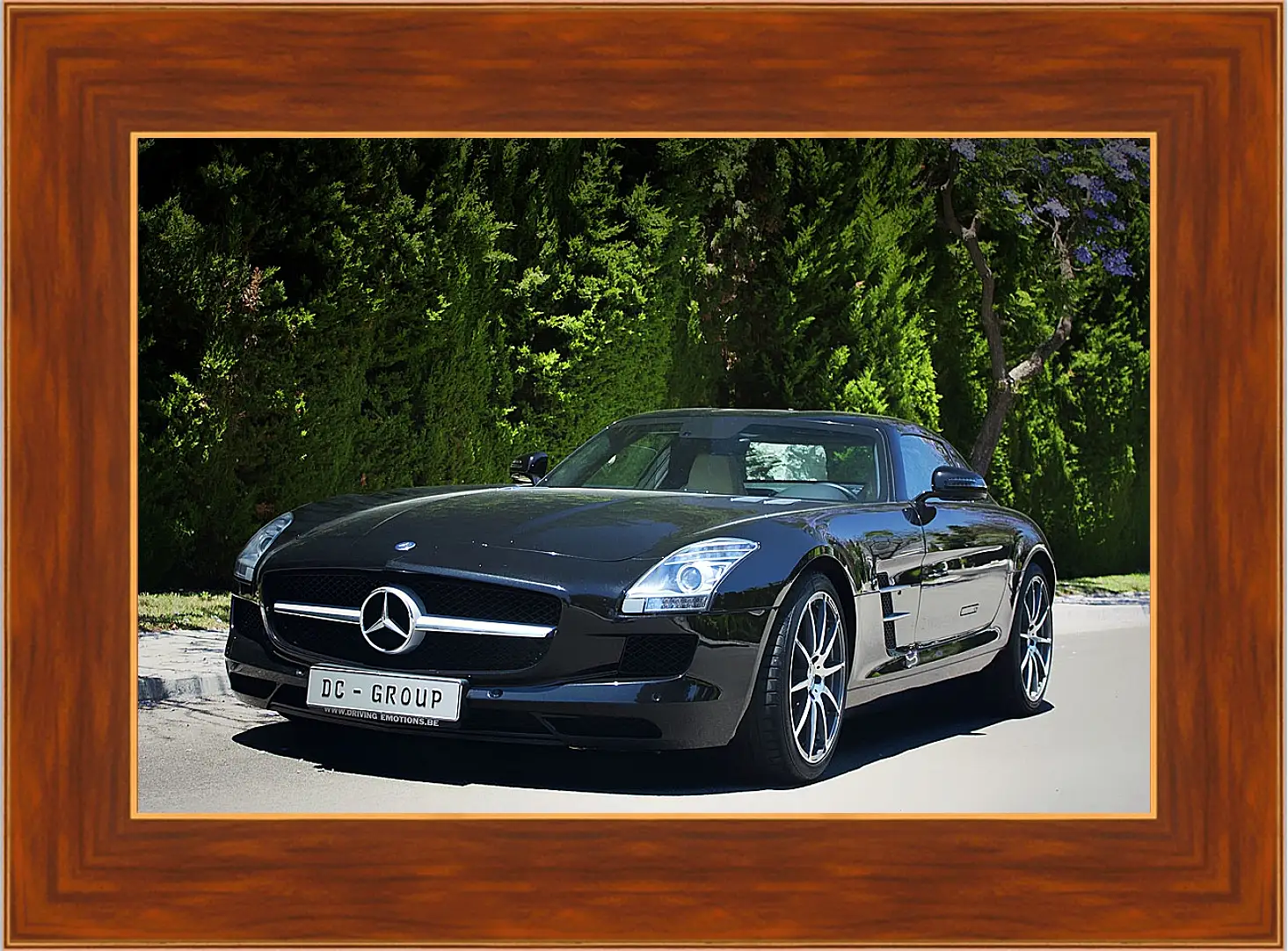 Картина в раме - Mercedes SLS AMG (Мерседес чайка)