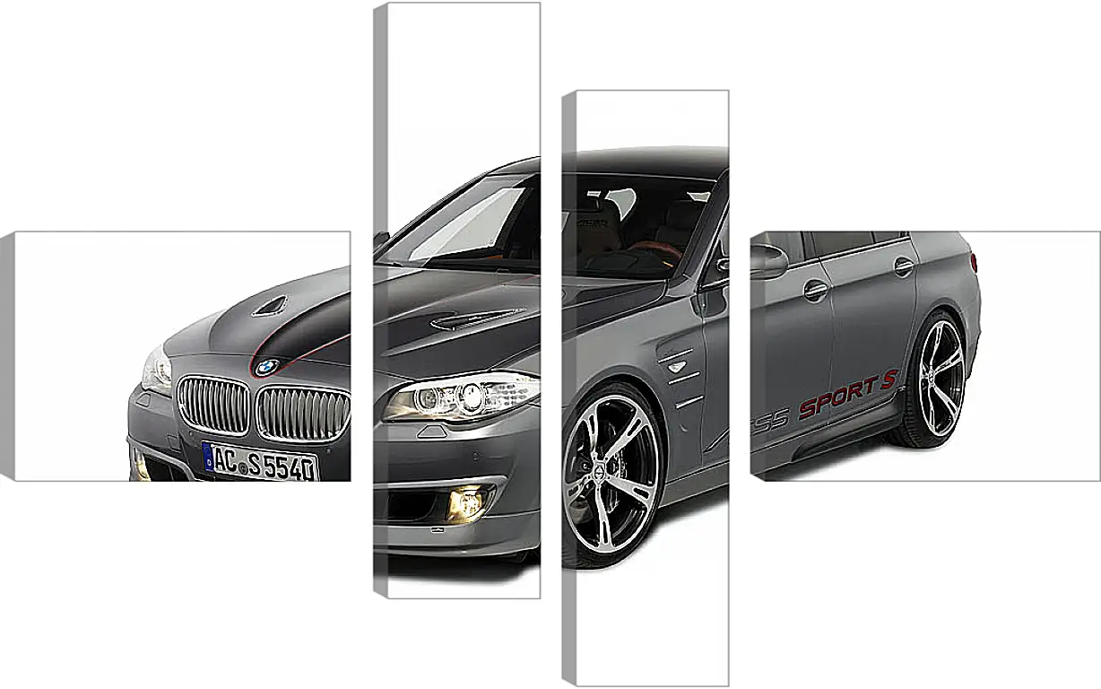 Модульная картина - БМВ 5й серии (BMW 5 series)