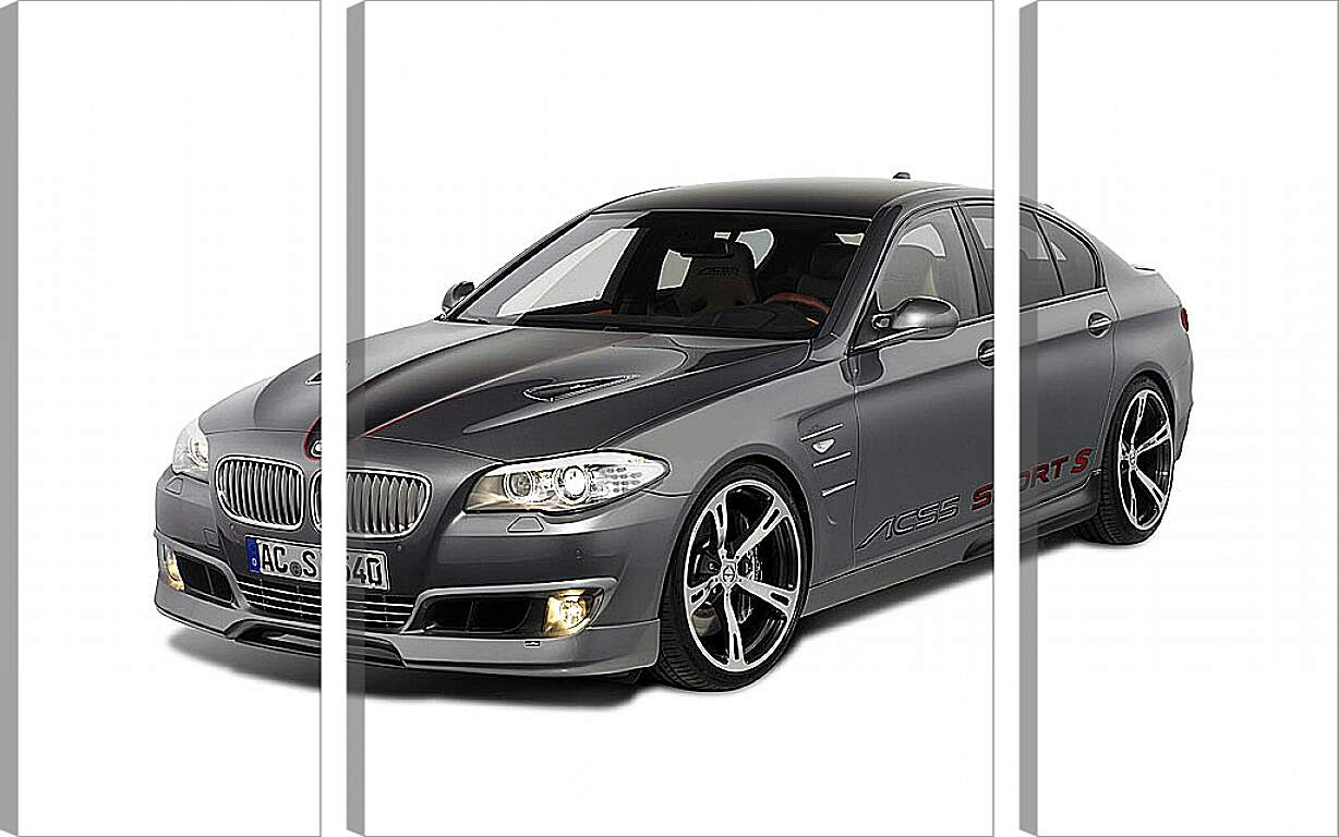 Модульная картина - БМВ 5й серии (BMW 5 series)