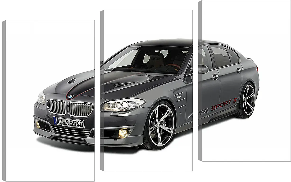 Модульная картина - БМВ 5й серии (BMW 5 series)