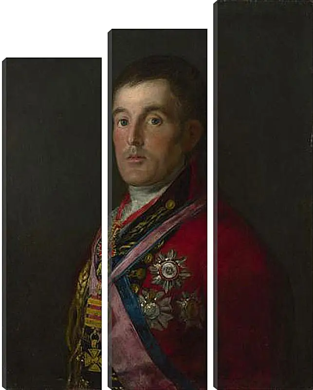 Модульная картина - The Duke of Wellington. Франсиско Гойя