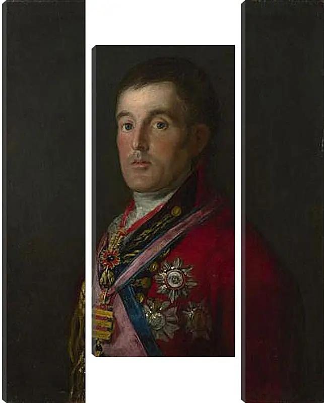 Модульная картина - The Duke of Wellington. Франсиско Гойя