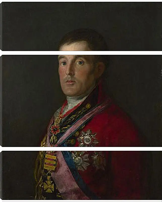 Модульная картина - The Duke of Wellington. Франсиско Гойя