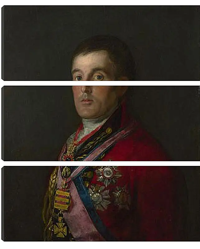 Модульная картина - The Duke of Wellington. Франсиско Гойя