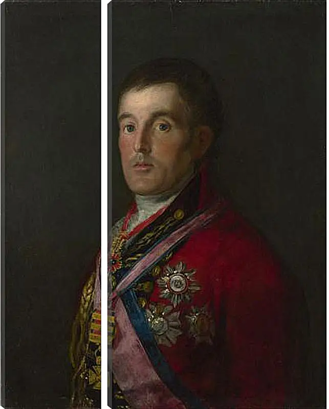 Модульная картина - The Duke of Wellington. Франсиско Гойя