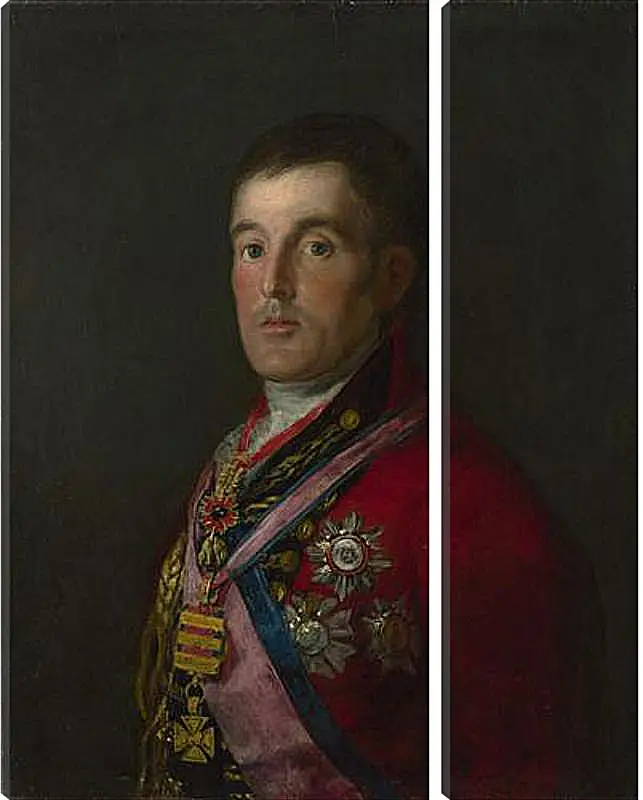 Модульная картина - The Duke of Wellington. Франсиско Гойя