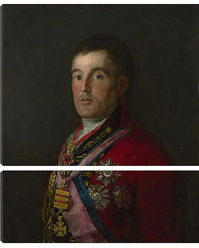 Модульная картина - The Duke of Wellington. Франсиско Гойя