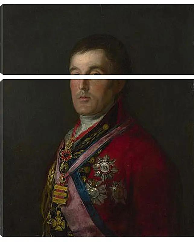 Модульная картина - The Duke of Wellington. Франсиско Гойя