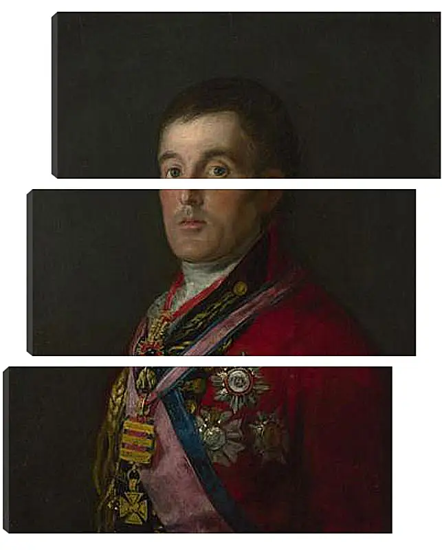 Модульная картина - The Duke of Wellington. Франсиско Гойя