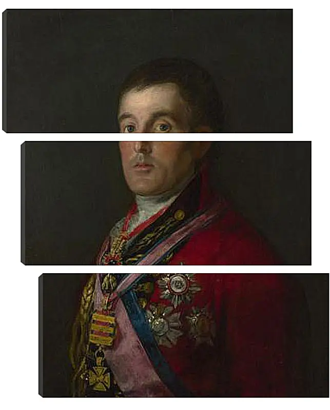 Модульная картина - The Duke of Wellington. Франсиско Гойя