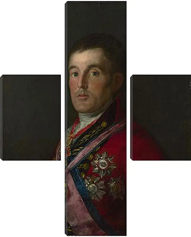 Модульная картина - The Duke of Wellington. Франсиско Гойя