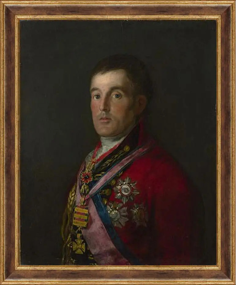 Картина в раме - The Duke of Wellington. Франсиско Гойя