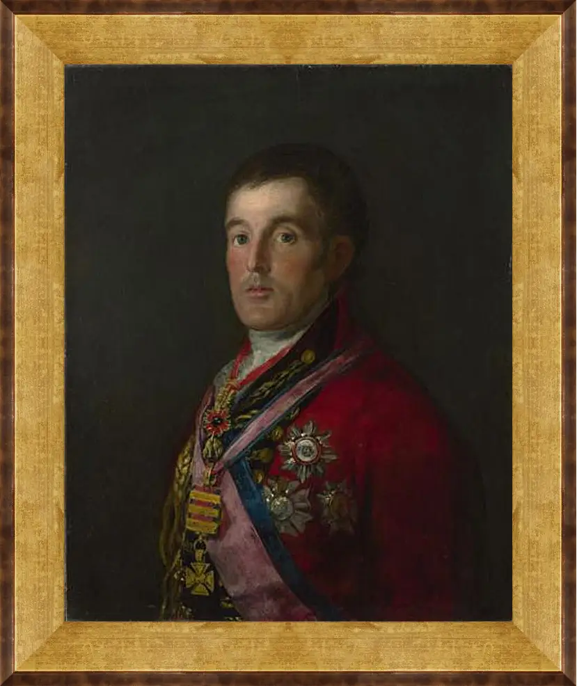 Картина в раме - The Duke of Wellington. Франсиско Гойя