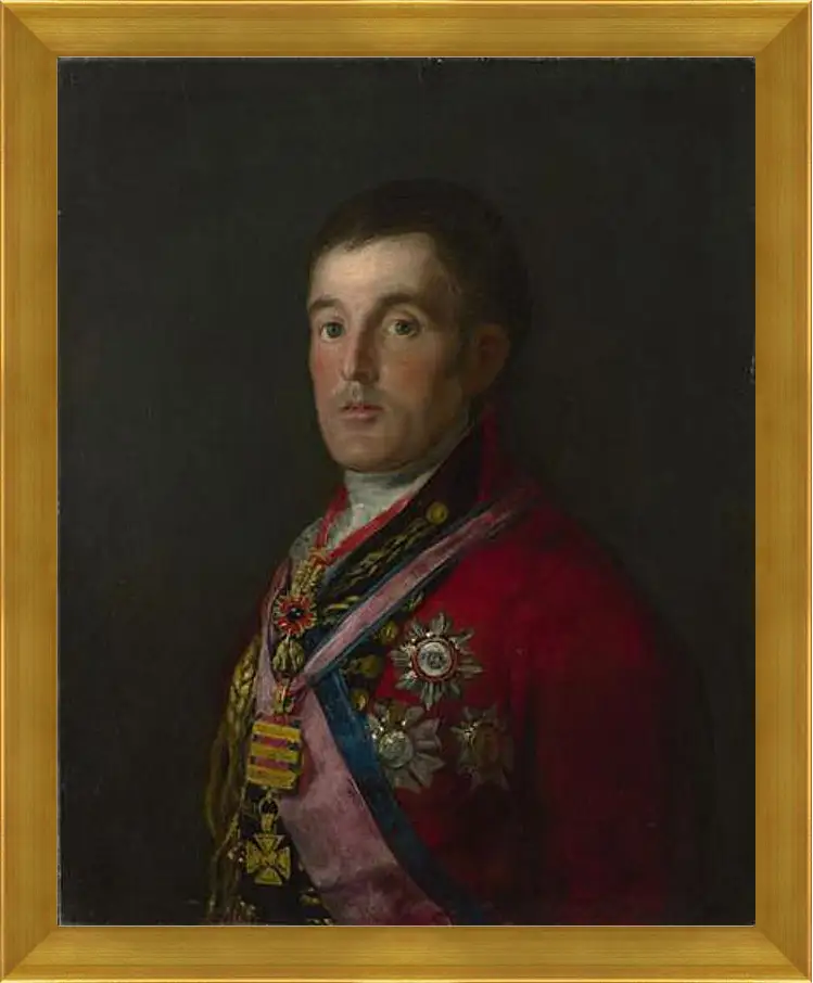 Картина в раме - The Duke of Wellington. Франсиско Гойя