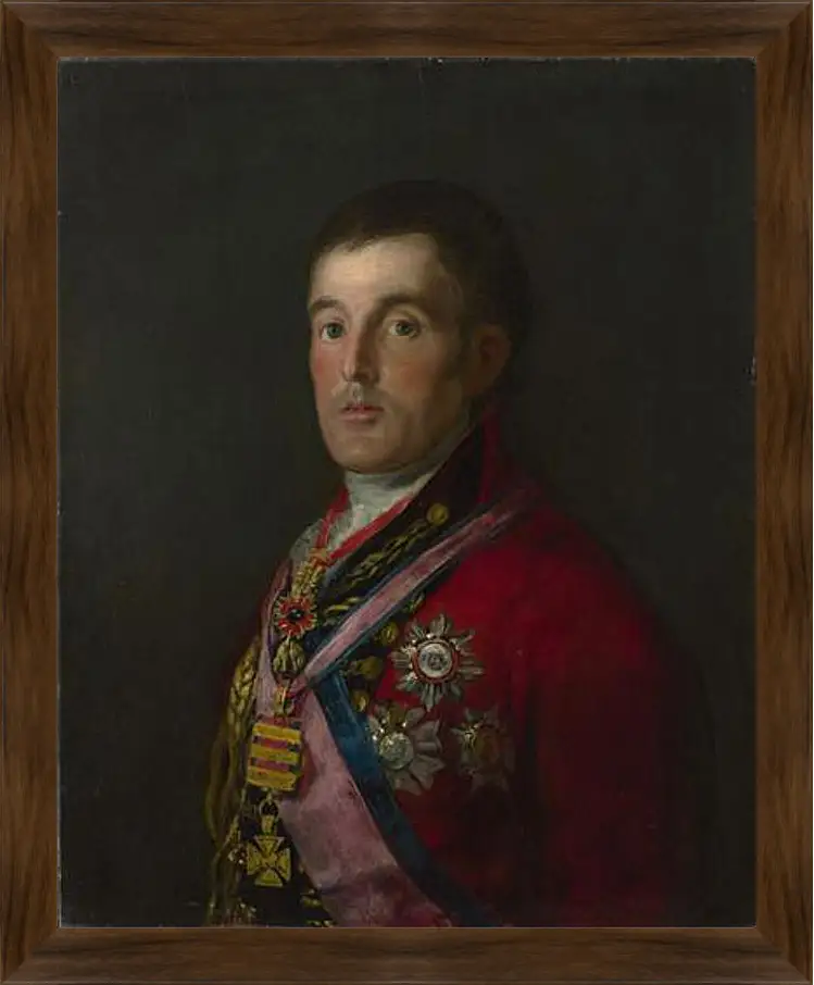 Картина в раме - The Duke of Wellington. Франсиско Гойя