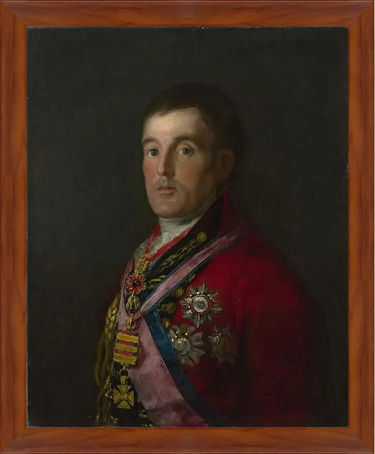 Картина в раме - The Duke of Wellington. Франсиско Гойя