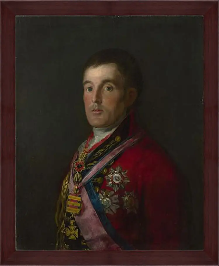 Картина в раме - The Duke of Wellington. Франсиско Гойя