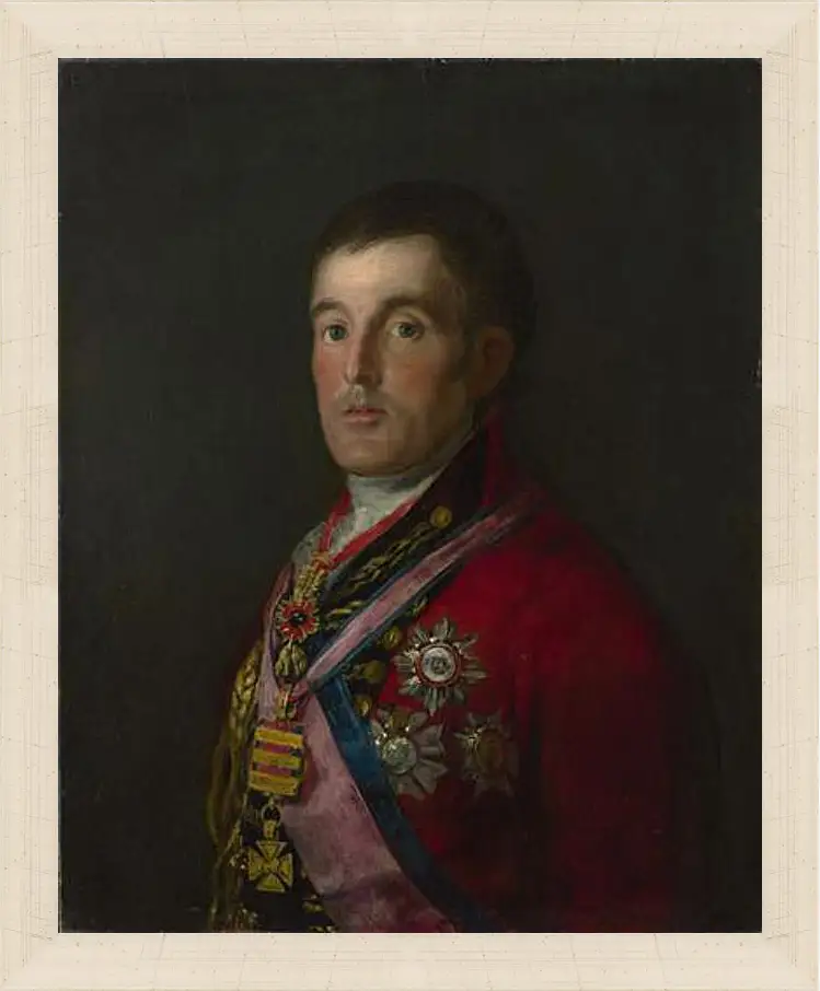 Картина в раме - The Duke of Wellington. Франсиско Гойя