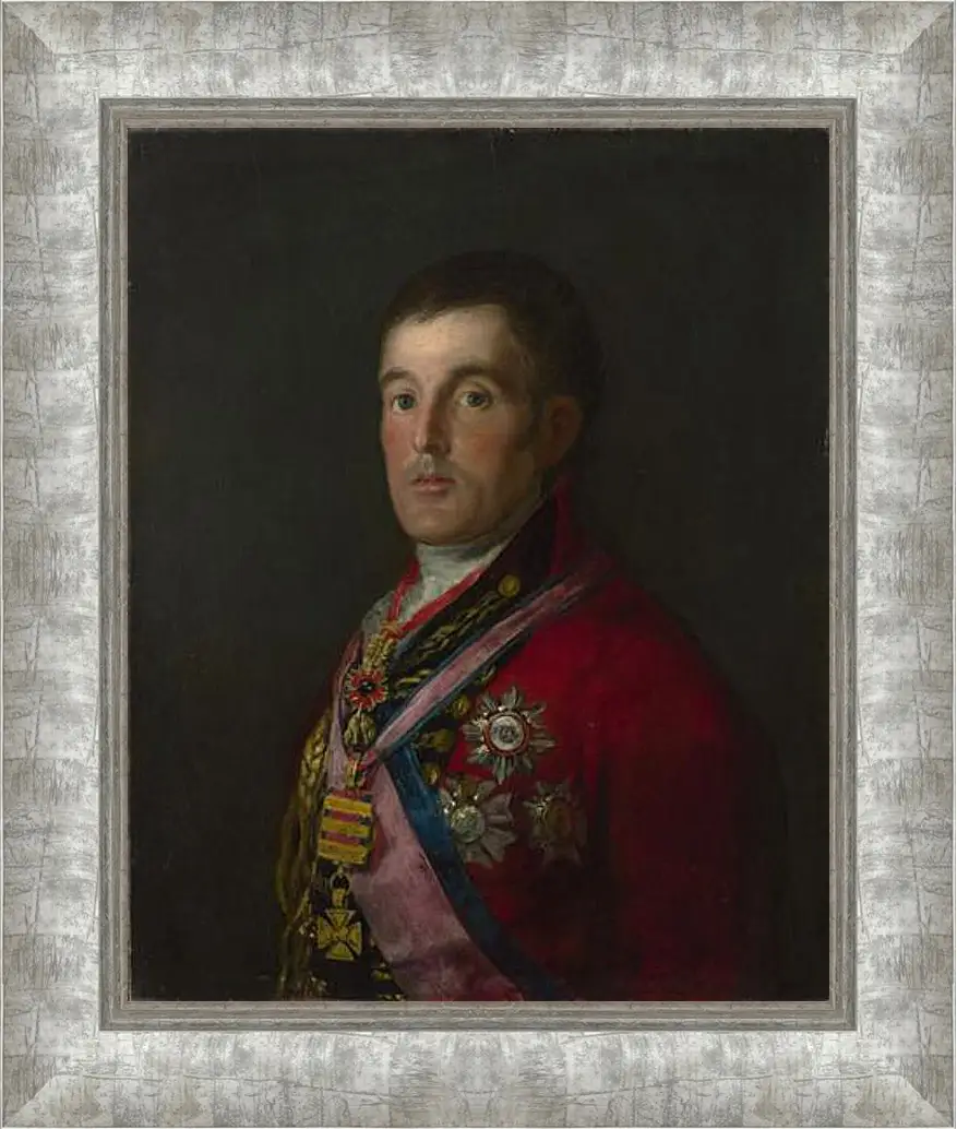 Картина в раме - The Duke of Wellington. Франсиско Гойя