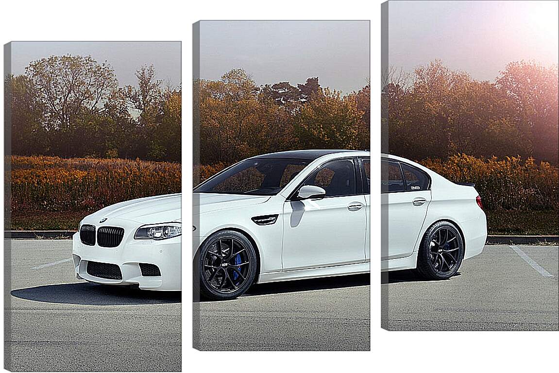 Модульная картина - BMW M5 белый