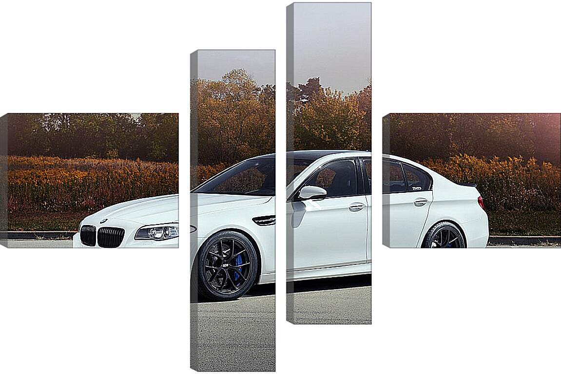 Модульная картина - BMW M5 белый