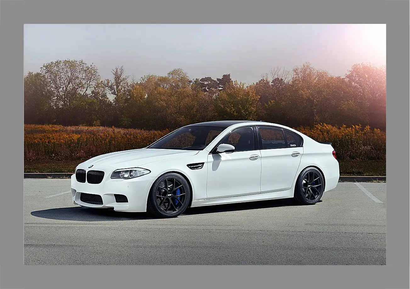 Картина в раме - BMW M5 белый