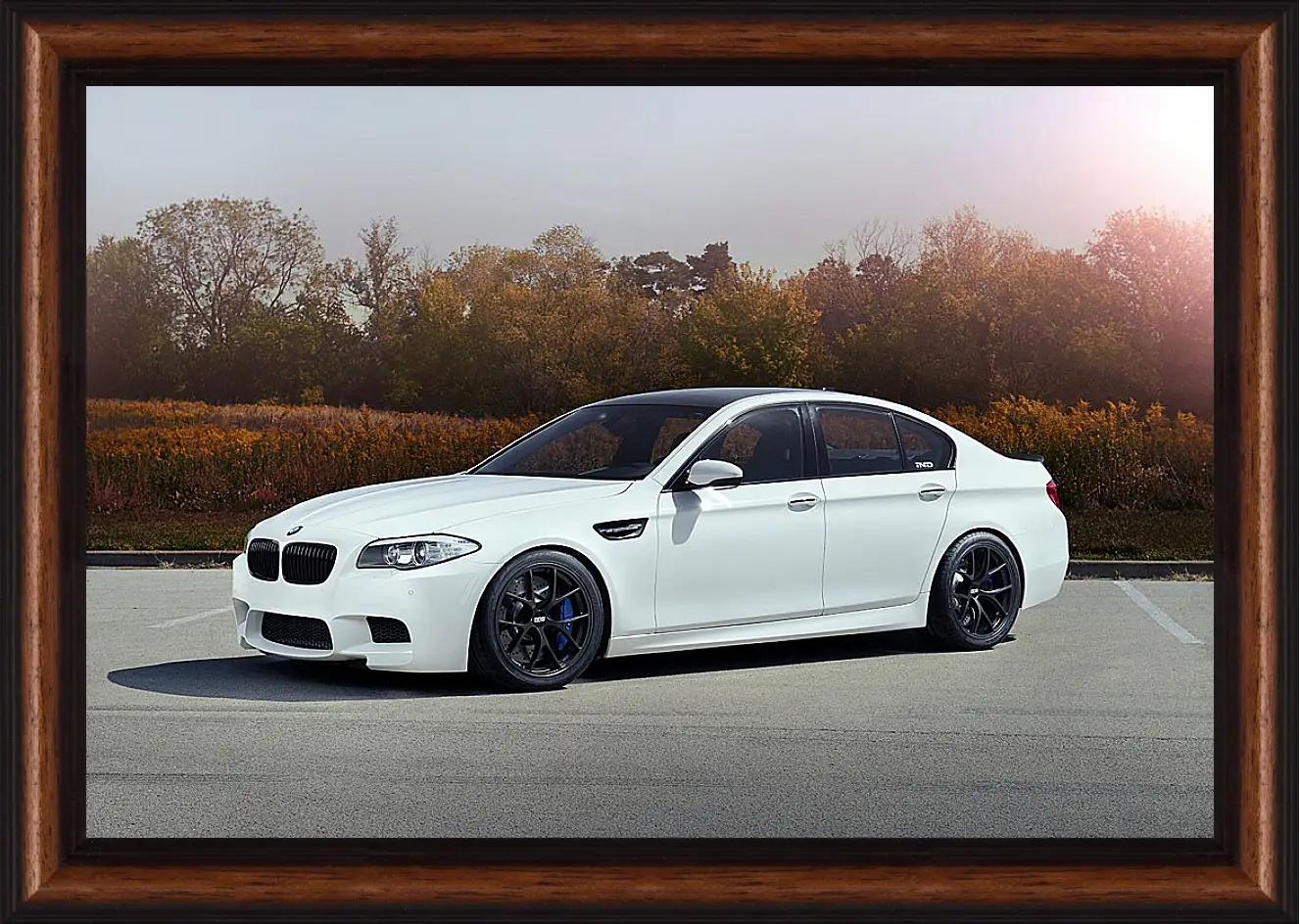 bmw m 5 f 10