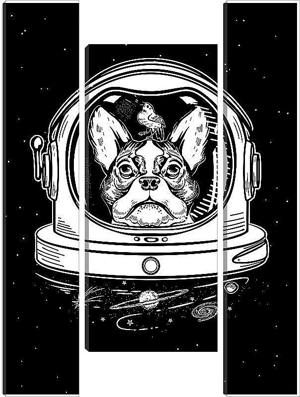 Модульная картина - Астронавт - пес